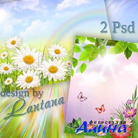 PSD исходники - На поляне много полевых цветов