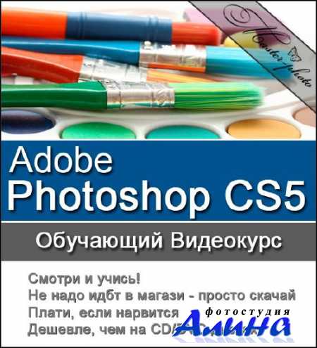 Adobe Photoshop CS5. Обучающий видеокурс