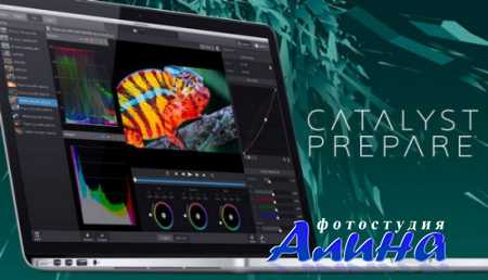 Sony Catalyst Prepare 1.2.0.159