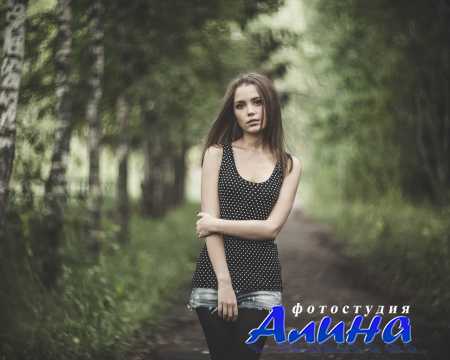 Пресет - Frosted Shading2