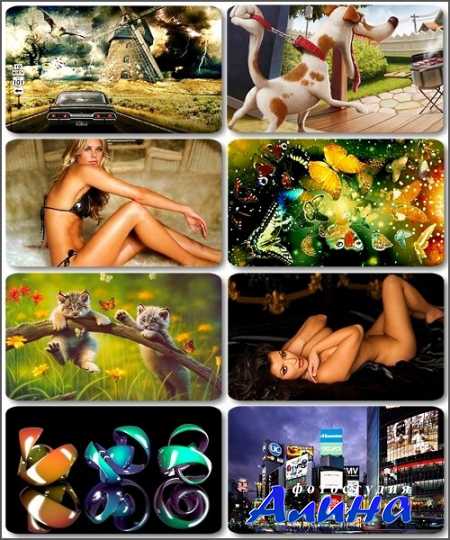 Разное - высококачественные фотографии с fotolia