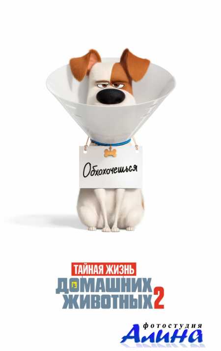 Тайная жизнь домашних животных 2 / The Secret Life of Pets 2